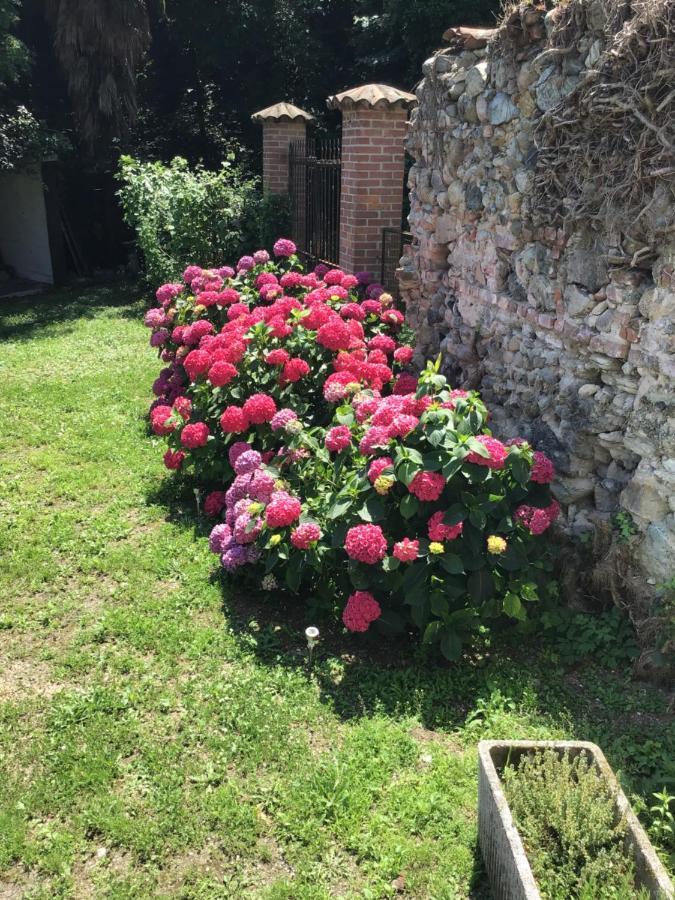 Casale A La Campagne Lejlighed San Mauro Torinese Eksteriør billede